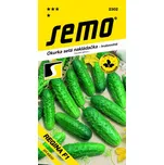 SEMO Okurka nakládačka Regina F1 hr 2 g