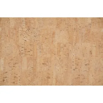 Recenze Fatra Standard 4650-2 4 m linoleum Recenze Fatra Standard 4650-2 4 m