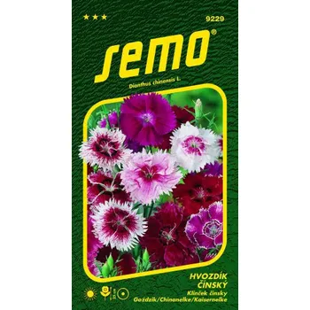 Semeno SEMO Semena hvozdík čínský jednoduchý 0,5 g