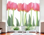 Dimex Tulipány fotozáclony 140 x 120 cm