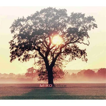 Kancelářský papír Smuteční oznámení A4, papír 90g - vzor 23 - slunce strom