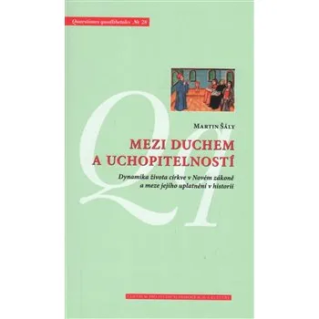 Mezi duchem a uchopitelností - Martin Šály