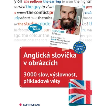 Anglický jazyk Anglická slovíčka v obrázcích: 3000 slov, výslovnost, příkladové věty - Arndt Knieper, Martin Waller