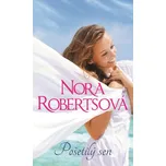 Pošetilý sen - Nora Robertsová