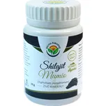 Salvia Paradise Shilajit - Mumio 25 g