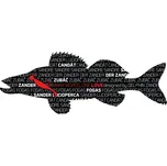 Delphin Words