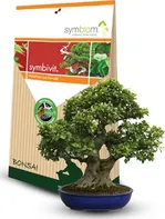 Symbiom Symbivit Bonsai 150 g