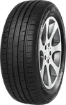 Minerva F209 205/55 R16 91 H TL