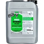 Hesi Hydro Květ
