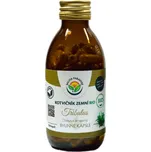 Salvia Paradise Kotvičník zemní -…