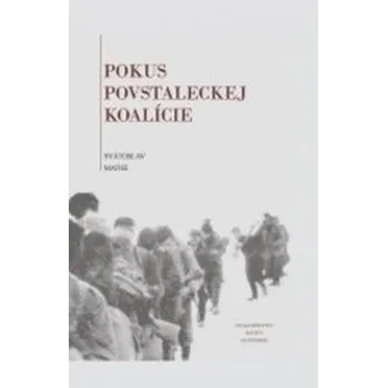 Pokus povstaleckej koalície - Svätoslav Mathé (SK)