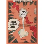 Vojde kôň do baru - David Grossman