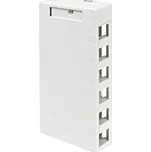 41089-6WP Neosazená zásuvka QuickPort pro 6 UTP RJ45 moduly Leviton, bílá