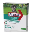 KRKA Ataxxa Spot-on Dog