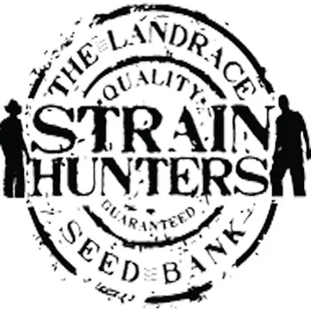 Semeno Strain Hunters Seeds Money Maker (Feminizovaná semena Money Maker )