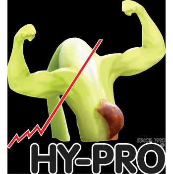 Semeno Hy-Pro Seeds Amnesia Haze Regular (Regularní semena Amnesia Haze)