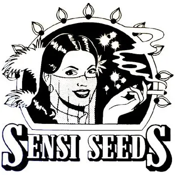 Sensi Seeds Outdoor Mix 25ks Regular (Regular)
