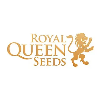 Semeno Royal Queen Seeds Royal Gorilla Počet ks Feminizované: 1
