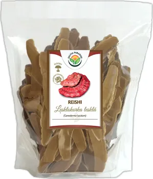 Přírodní produkt Salvia Paradise Lesklokorka lesklá - Reishi