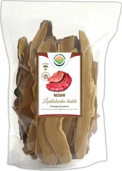 Přírodní produkt Salvia Paradise Lesklokorka lesklá - Reishi