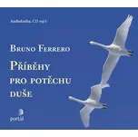 Příběhy pro potěchu duše - Bruno…