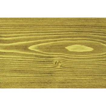 Olej na dřevo ASTRAOIL TEAK - Teakový olej na dřevo - Zeleň jarní T19, plechovka 4,5 l