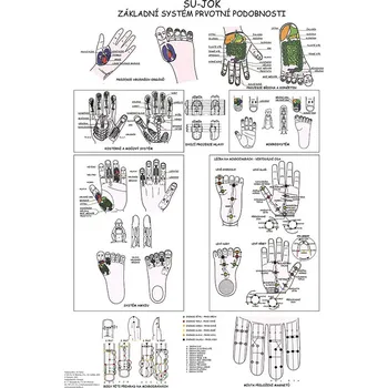 Vydavatelství Poznání Anatomická mapa - Su-Jok Základní systém prvotní podobnosti