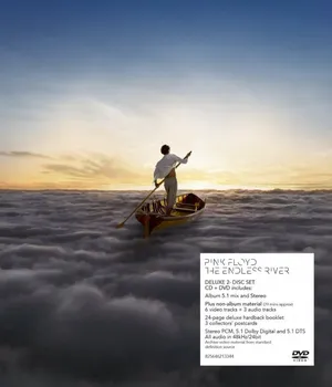 Zahraniční hudba The Endless River (Deluxe Edition) - Pink Floyd [CD + DVD]