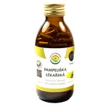 Salvia Paradise Pampeliška lékařská