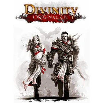 Počítačová hra Divinity Original Sin PC digitální verze