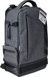 Braun ALPE Backpack (84011)