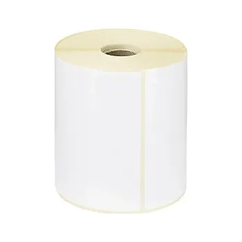 Samolepící etiketa Termální etikety 100x50mm, na roli ø25mm, 880 etiket, s perforací | RAJA - Balení po 1 ks