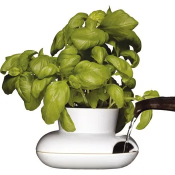 Sagaform Herb malý květináč 13 x 13 x 8,6 cm Květináč Sagaform Herb malý květináč 13 x 13 x 8,6 cm