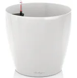 Lechuza Classico 60 x 56 cm