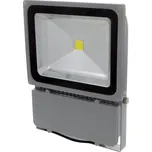 Ecolite RLEDF04-100W