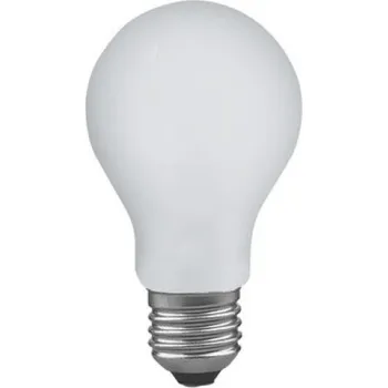 Žárovka Žárovka průmyslová matná VEZALUX 100W A55 230V E27