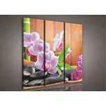 Obraz na plátně ART106 90 x 80 cm 3-dílný