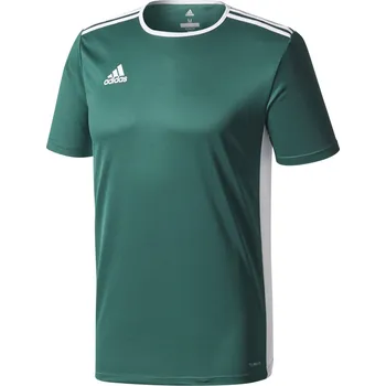 Adidas Entrada 18 Jsy pánský zelený S