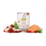 Isegrim Adult Prairie Husa s…