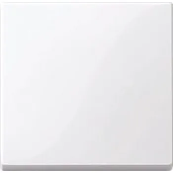 vypínač Schneider Electric Merten kryt vypínače System M active MTN432125