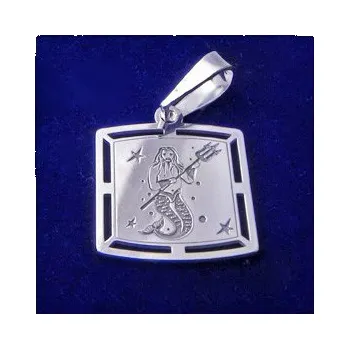 Přívěsek Stříbrný přívěsek-znamení Vodnář