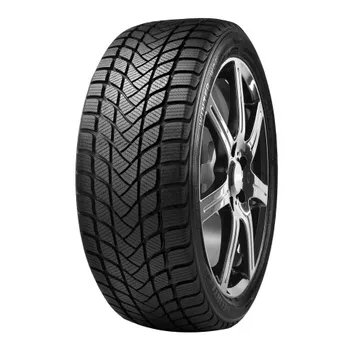 Zimní osobní pneu Delinte WD1 205/55 R16 91 H