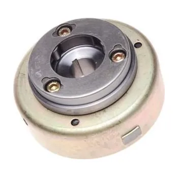 Zapalovací kabel Rotor zapalování s volnoběžkou ATV 110 - starter spodní