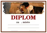 Poháry.com Diplom D144 ohař 