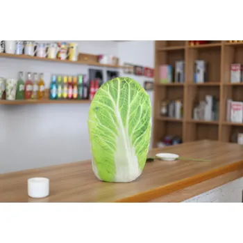 Dekorativní polštářek Kik Polštář ve tvaru zelí 50 x 30 cm