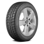 Delinte AW5 225/55 R17 101 W XL