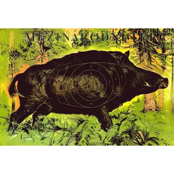 Sportovní střelba Terč divočák mezinárodní redukovaný 50ks