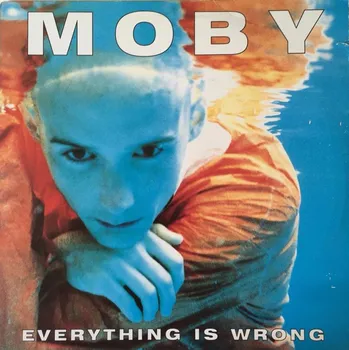 Zahraniční hudba Everything Is Wrong - Moby [LP]