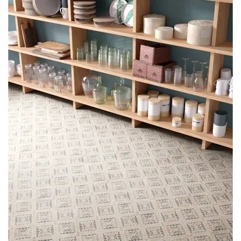 Dlažba Clasic 2 - dlaždice rektifikovaná 20x20 CSAPCL0220