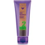 Salerm Biokera Grapeology maska 200 ml